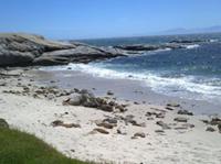 Franks Beach Simons Town South Africa